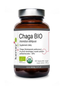 Kenay CHAGA BIO Inonotus obliquus (60 kapsułek) - suplement diety 