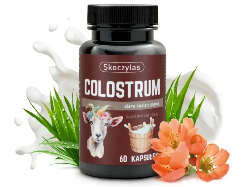 Skoczylas Colostrum siara kozia z pigwą