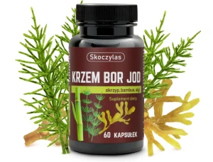 Skoczylas Krzem, Bor, Jod - skrzyp, bambus, algi